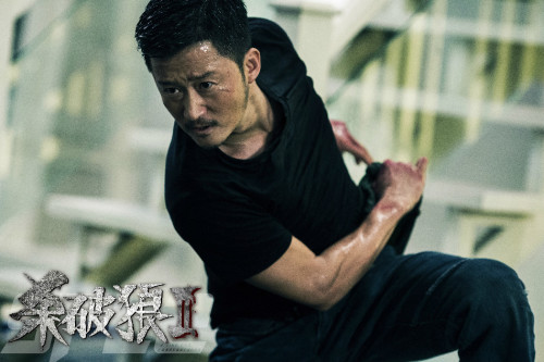 郑保瑞执导,吴京,张晋,托尼贾,古天乐,任达华主演的终极动作电影