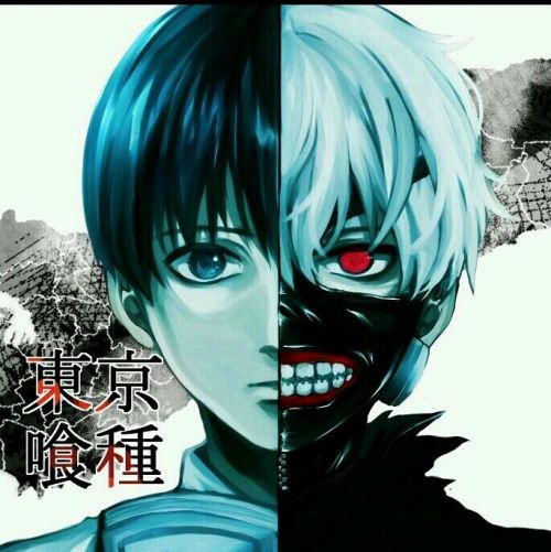 金木研和亚门刚太郎