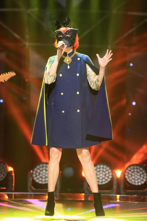 《蒙面歌王》初赛将收官 补位新人"最后的武士"求突围