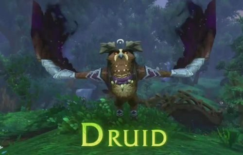 &shy;  德鲁伊史诗坐骑