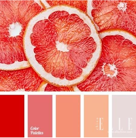 西柚色口红是什么色 郑爽杨幂都在用