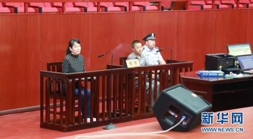 集资诈骗犯苏叶女被改判无期徒刑:诈骗5.53亿