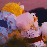 日本鹦鹉兄弟qq微信gif动图表情包大全下载鹦鹉poinkoポインコ兄弟