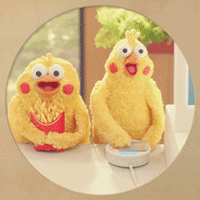 鹦鹉兄弟表情包微信:2017年鸡年过年表情包讨红包gif动图