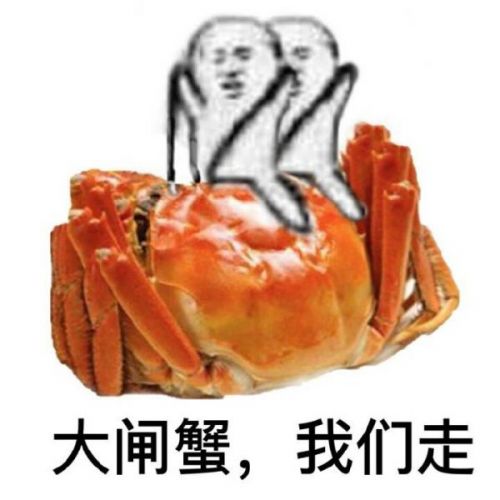 皮皮猪我们走和皮皮虾我们走是什么梗什么关系