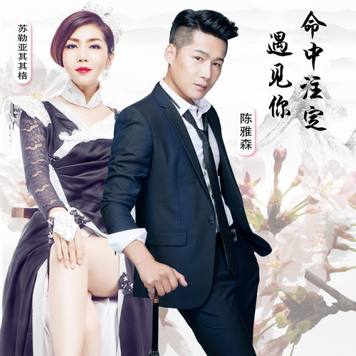 命中注定遇见你简谱_你是我的命中注定(3)