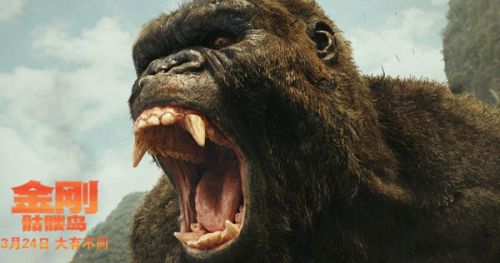 啥是金刚纱 1490689186456.jpg