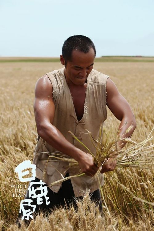 《白鹿原》黑娃小娥爱情虐心 姬他和表哥张嘉译对手戏多