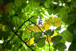 1502078105531.png