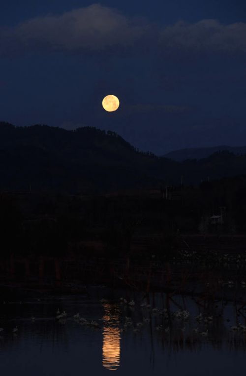 ­  ↑这是云南念湖月亮即将落山时的景观(3月2日摄).