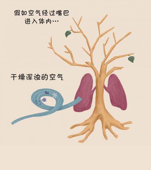 要得到干净湿润的空气就必须用鼻子呼吸.