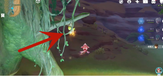 原神甘露花海树桩宝箱怎么过?原神甘露花海树桩宝箱解谜技巧