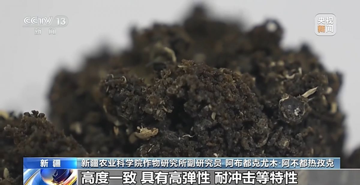 关键突破!从橡胶草提取合格天然橡胶,已实现量产